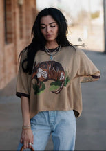 Load image into Gallery viewer, Dusty Dillo