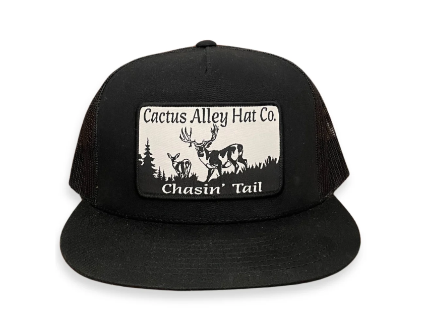 Chasin' Tail