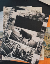 Load image into Gallery viewer, Noteworthy
