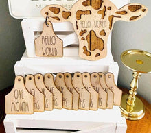 Load image into Gallery viewer, Cow Tag Baby Milestone Set
